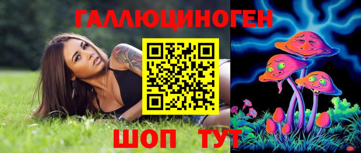 Псилоцибиновые грибы Psilocybine cubensis Куйбышев